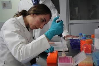 La inmunoterapia, entre las claves del aumento de la supervivencia por cáncer