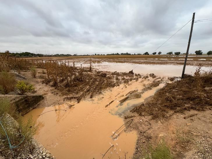 Inundaciones en Albacete: La Plataforma de Afectados pide inspecciones y mejoras inmediatas