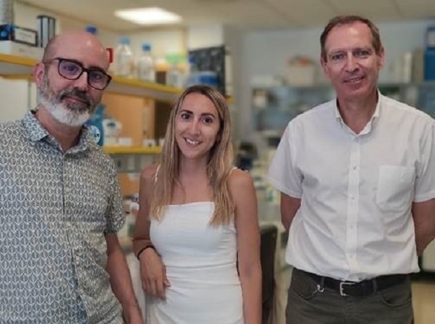 Investigadores de Albacete estudian en el pez cebra la proteína que causa el glaucoma juvenil