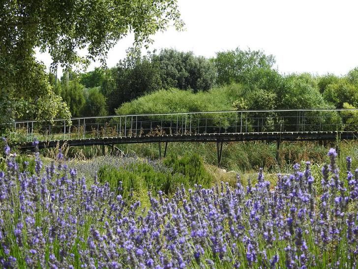 El Jardín Botánico de Castilla-La Mancha acoge la adhesión de Albacete al Pacto Verde Europeo