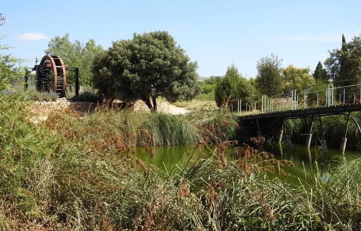El Jardín Botánico de Castilla-La Mancha abrirá en agosto en jornada matinal y por la tarde