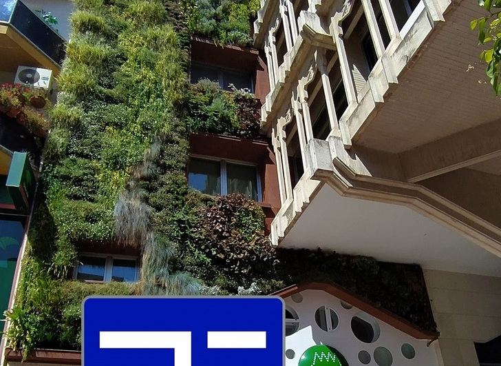 El jardín vertical de Ciudad Real será reconocido en Fitur con el primer premio nacional de Plan Sicted Más Destacable