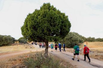 Éxito en la primera prueba de las Rutas de Senderismo 2025 en Albacete