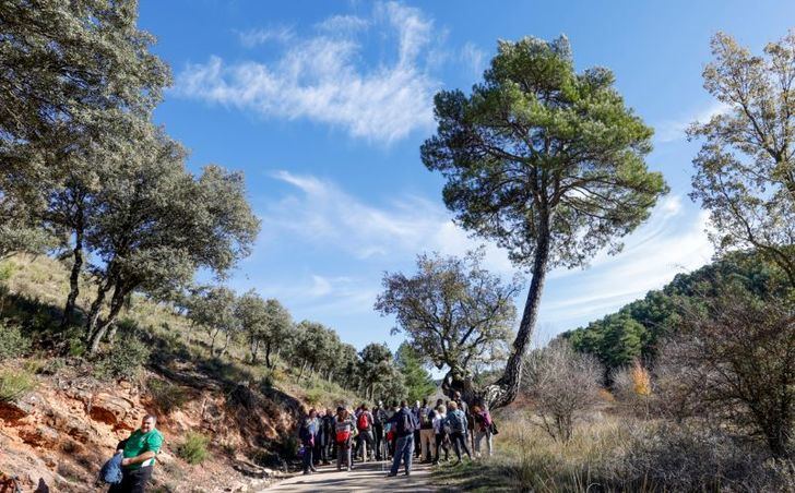 La Diputación de Albacete organiza una ruta de senderismo en la Sierra del Alcaraz el 22 de noviembre