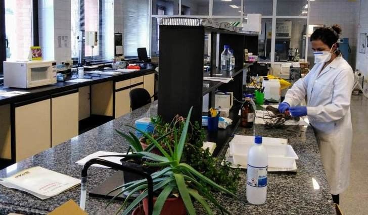 El ITAP, clave en asesoramiento de información a profesionales del sector primario durante la crisis del COVID-19