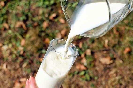 Descubre las propiedades de la leche semidesnatada sin lactosa