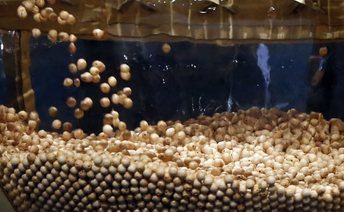 Los números 72.853m 45.456 y 45.225, quintos de Lotería de Navidad, sin presencia en Castilla-La Mancha