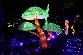Lucidum Natura: un recorrido de luz y sonido que transforma los Jardinillos de Albacete en un paraíso navideño