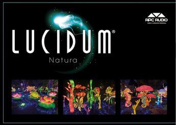 La Navidad Cultural 2025/26 ilumina el Parque de los Jardinillos con LUCIDUM Natura