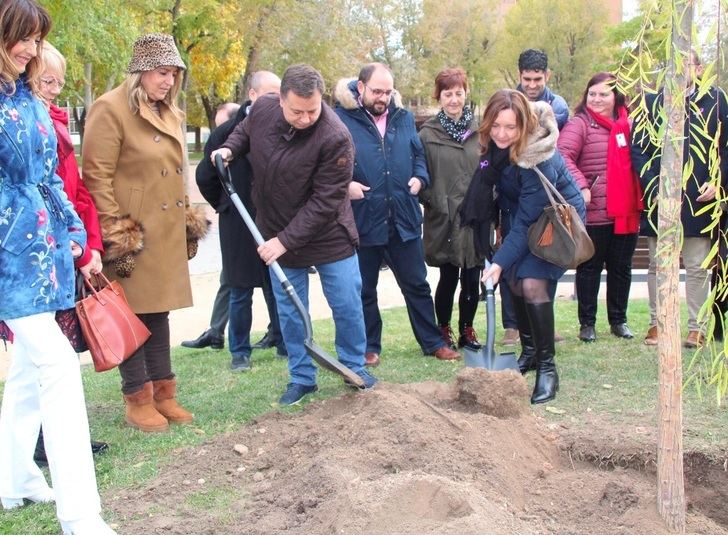 El PP del Ayuntamiento de Albacete reitera su rechazo ante cualquier forma de maltrato y violencia hacia las mujeres