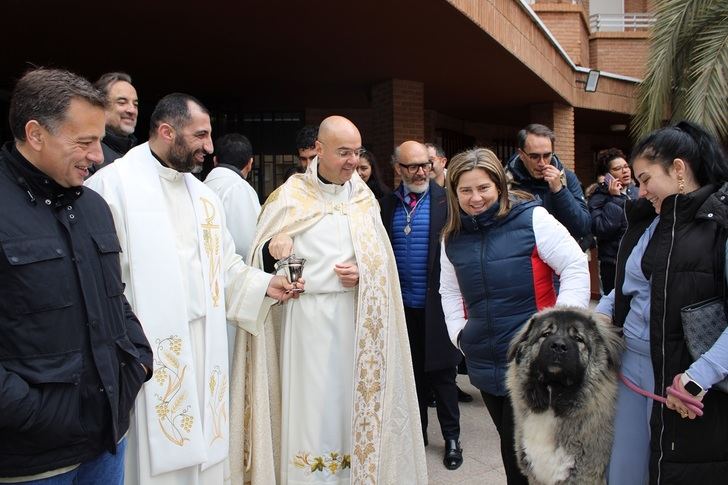Misa y procesión en honor a San Antón celebradas en Albacete con presencia del alcalde