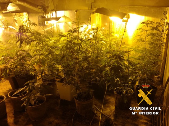 La Guardia Civil detiene a cuatro personas e interviene 35 kilos de marihuana en Hellín (Albacete)