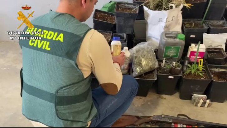 Dos detenidos tras desmantelar una plantación de marihuana en Caudete (Albacete) que hacía de punto de venta