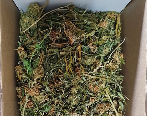 Detenida una persona por vender marihuana en un domicilio de Moral de Calatrava (Ciudad Real)