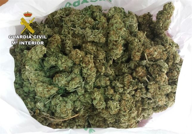 Intervenidos 50 kilos de marihuana por la Guardia Civil en Sonseca y Polán (Toledo)