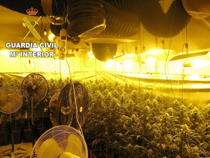 Detenidos tres hombres y dos mujeres, de entre 21 y 28 años, de una misma familia por cultivar marihuana en Sonseca (Toledo)
