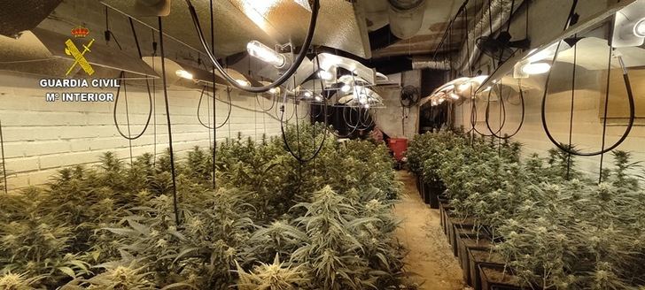 Detenido un hombre por cultivo de marihuana en una vivienda ocupada ilegalmente en Erustes