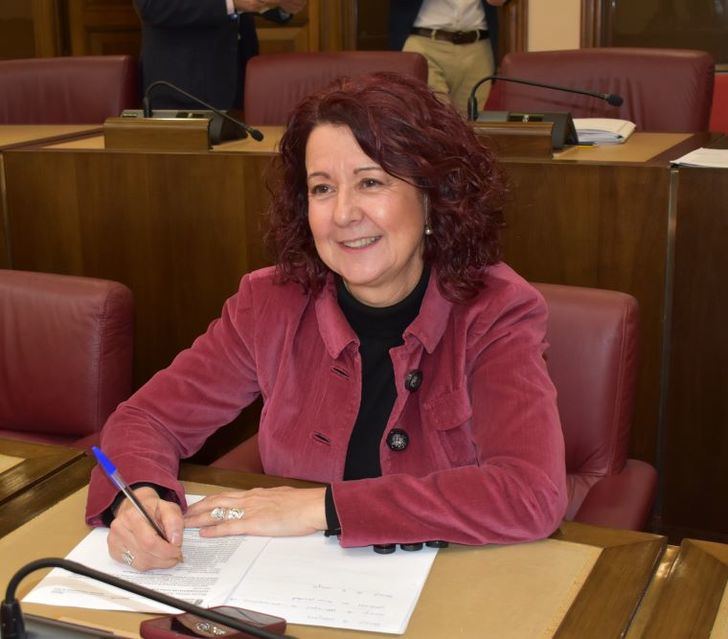 El PSOE denuncia que el rechazo a la moción limita la democracia y el avance hacia un modelo participativo en Albacete