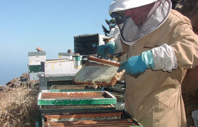 Detenida una pareja en Albacete por estafar en Internet en la venta de azúcar para apicultura