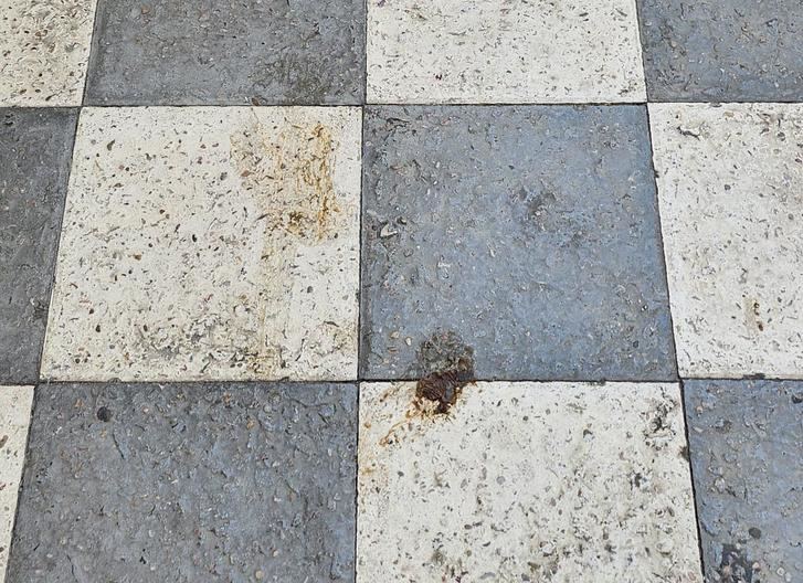 ¿Esta es la limpieza de calles de la que tanto alarde Valoriza y el alcalde de Albacete?