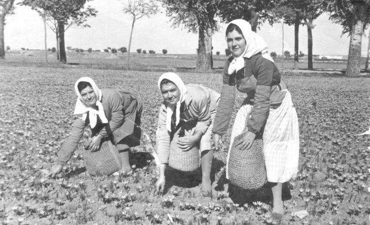 Castilla-La Mancha celebra el 8M con la exposición virtual de fotos antiguas ‘Con rostro de mujer’