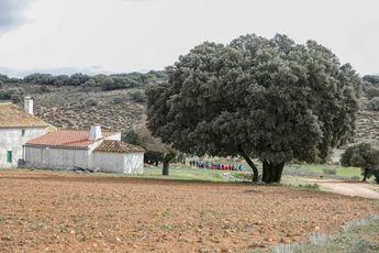 Este fin de semana, Munera y Pozuelo se llenan de senderistas en busca de patrimonio natural y cultural