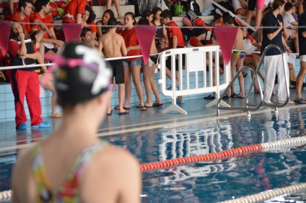Nadadores olímpicos y paralímpicos nadarán el próximo sábado en la Roda para recaudar fondos para la ELA