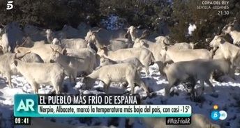 El frío sigue causando estragos en Castilla-La Mancha, ahora el hielo es protagonista