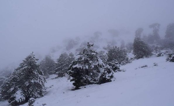 Este lunes, nieve en Albacete, Ciudad Real y Cuenca y además bajan las temperaturas