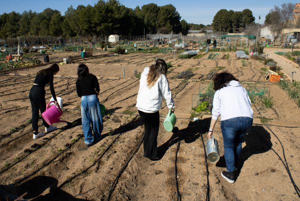 La Unidad de Trastornos de la Conducta Alimentaria de Albacete promueve el bienestar a través de la horticultura