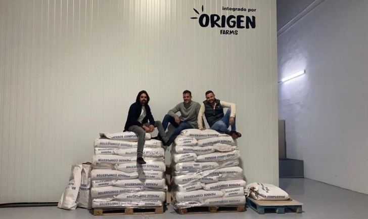 Origen, la empresa rodense que produce 30 toneladas de harina de grillo al año, lanzará al mercado sus primeros totopos