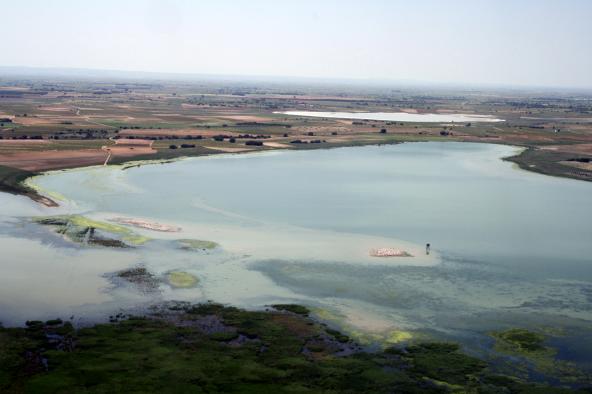 La Junta de Castilla-La Mancha apoya proteger los humedales e incrementar su función frente al cambio climático