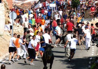 El Gobierno de Castilla-La Mancha declara el tradicional encierro de ‘La Charcuela’ de Uceda como Fiesta de Interés Turístico Regional