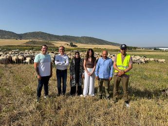 Castilla-La Mancha destina seis millones de euros en ayudas al bienestar animal