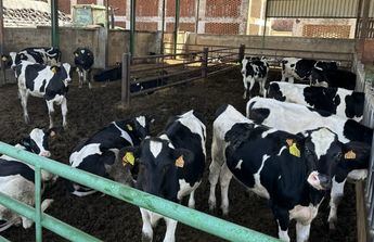 La Consejería de Agricultura busca aumentar la eficiencia y reducir el impacto ambiental en la producción lechera