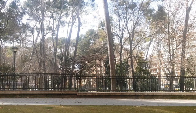 Albacete decidió cerrar parques y el cementerio por fuertes vientos