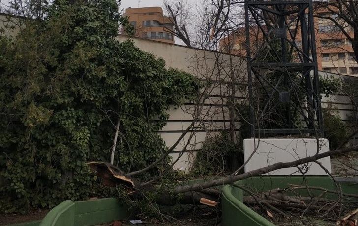 Albacete cierra sus parques y jardines ante el azote del viento que ha supuesto ya decenas de intervenciones