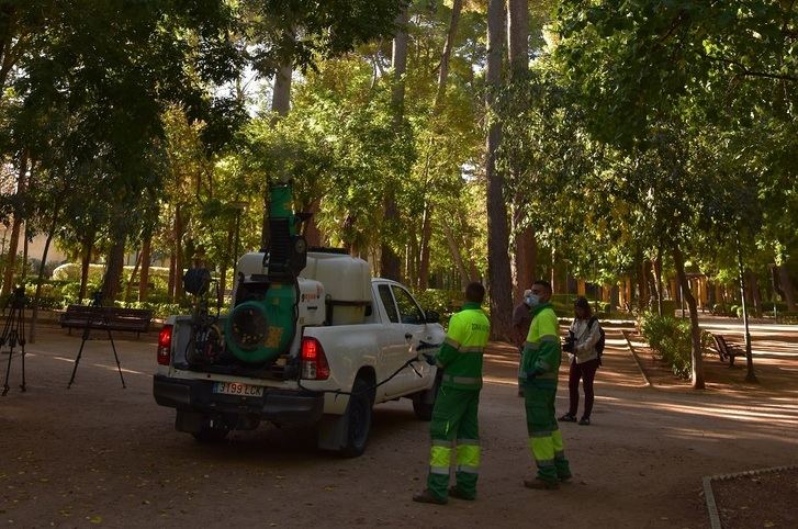Un total de 182 pinos de Albacete recibirán tratamiento de endoterapia frente a la procesionaria