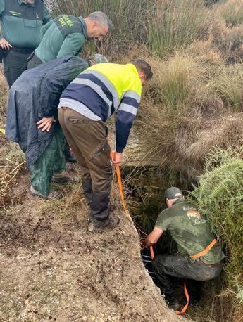 Colaboración comunitaria: sellan pozo seco tras el rescate de un perro en Fuente-Álamo