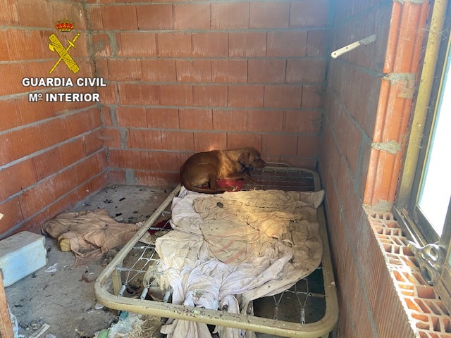 Localizados 15 perros en un supuesto núcleo zoológico de Poveda de la Sierra (Guadalajara) en condiciones muy deficientes