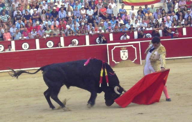 La plaza de toros de Albacete se prepara para una feria taurina que promete ser especial