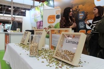 Castilla-La Mancha lidera la producción de pistacho en España con un nuevo Plan Estratégico 2024-2028