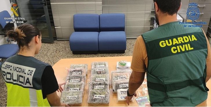 Ponen a disposición del juzgado de Almagro al CEO de una empresa que almacenaba marihuana en Valencia