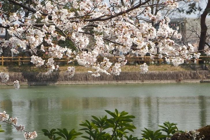 La primavera se iniciaba este sábado a las 10.37 y tendrá una duración de 92 días y 18 horas