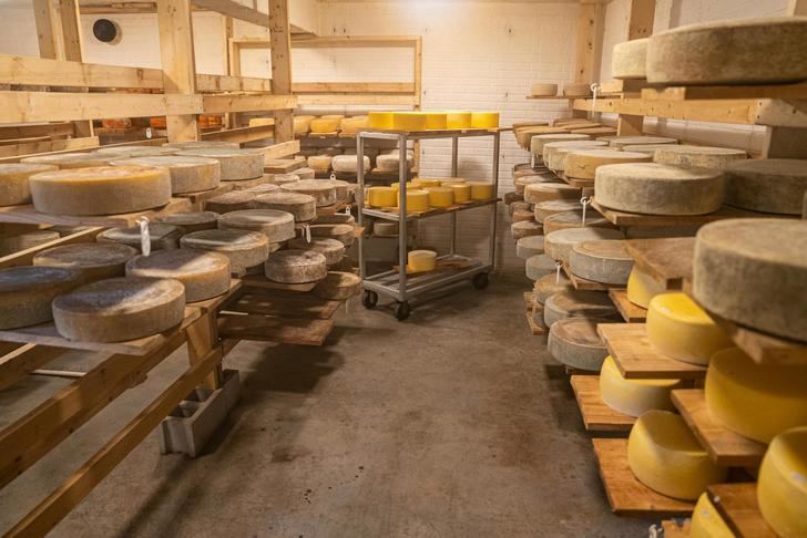 
Queso manchego: tradición y carácter en tu mesa

 