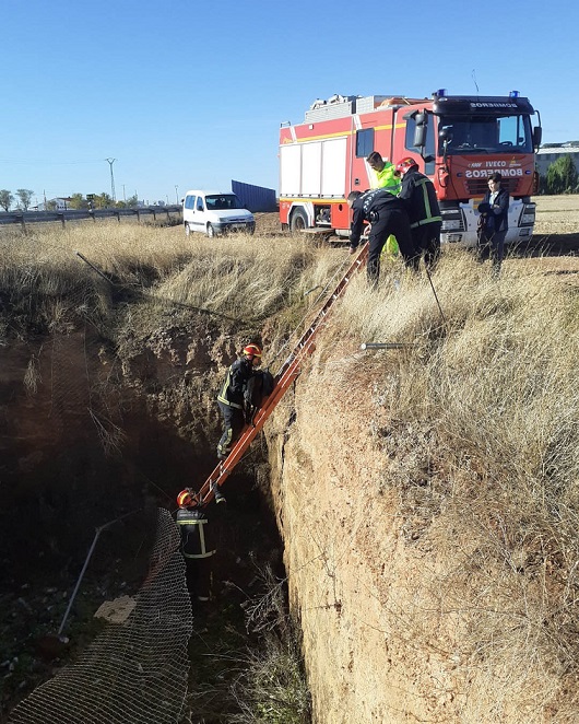 Policía de Argamasilla y bomberos de Tomelloso rescatan a un perro atrapado en un pozo de drenaje de la A-43