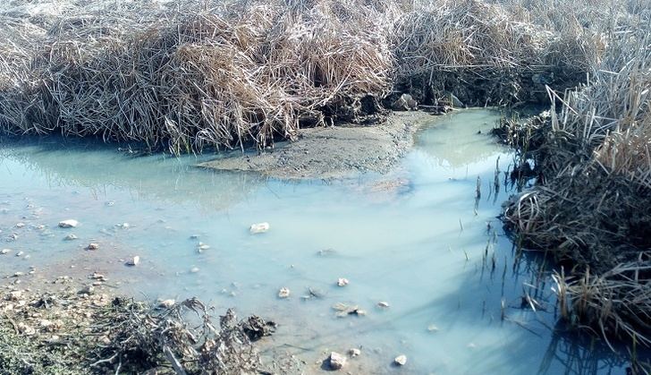Los ecologistas denuncia la contaminación del río Valdemembra, que atraviesa La Manchuela