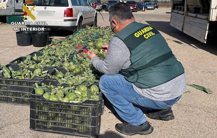 La Guardia Civil desarticula un grupo delictivo dedicado robar productos del campo en Murcia y Albacete