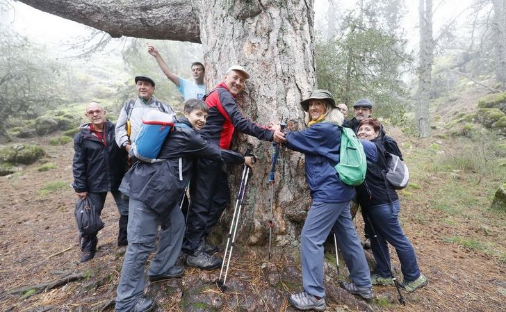 Los participantes de las rutas senderistas de la Diputación volvieron a quedar sorprendidos en Paterna del Madera