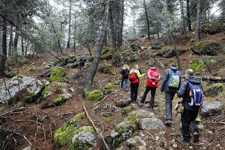 La Piedra del Cambrón, en Villaverde de Guadalimar próximo destino de las Rutas de Senderismo de la Diputación